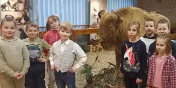 "Крутоелка