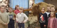 "Крутоелка