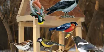 Республиканская экологическая акция "Зимующим птицам - нашу заботу"